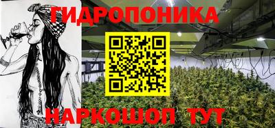 крисы Абинск
