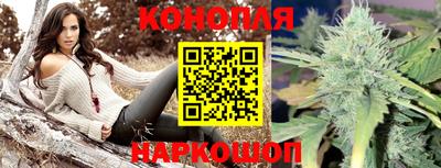 крисы Абинск