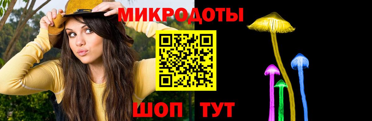 Псилоцибиновые грибы Psilocybe  Вход с VPN  Алатырь  Псилоцибиновые грибы Cubensis 